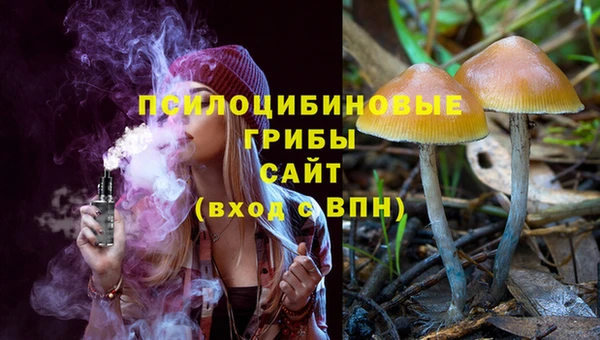 Альфа ПВП Абдулино