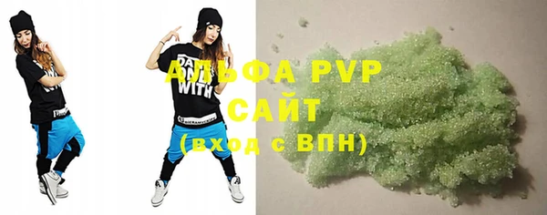 прущие грибы Абинск