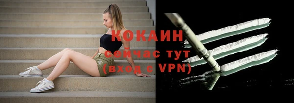 дживик Россошь