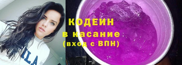 прущие грибы Абинск
