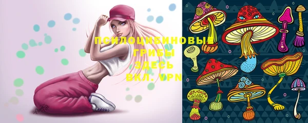 прущие грибы Абинск