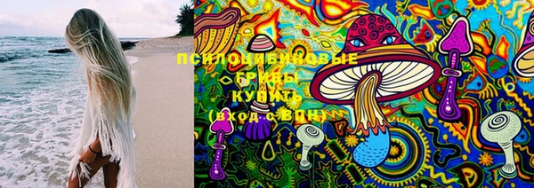 прущие грибы Абинск