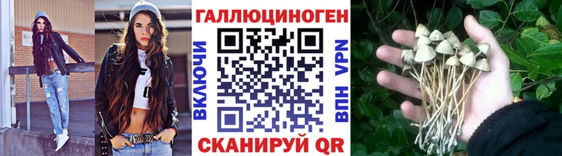 Галлюциногенные грибы MAGIC MUSHROOMS  магазин продажи   Адыгейск 